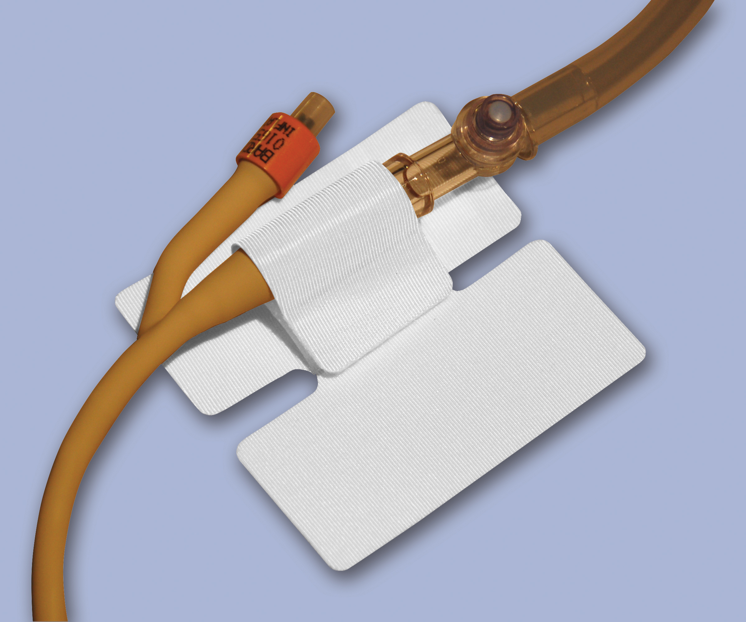 5445 image 5445 image