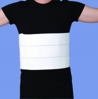 Image of Rib Belt, 2 Panel